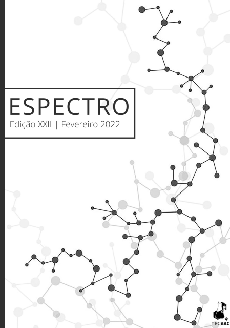 Capa da edição 22